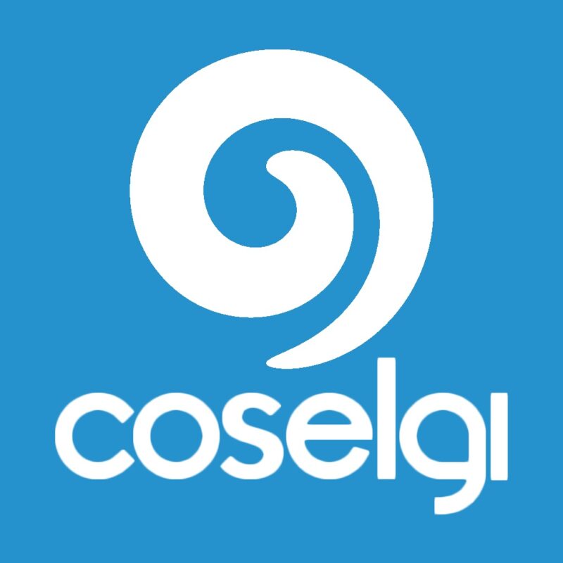 Coselgi logo