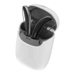 máy trợ thính Signia