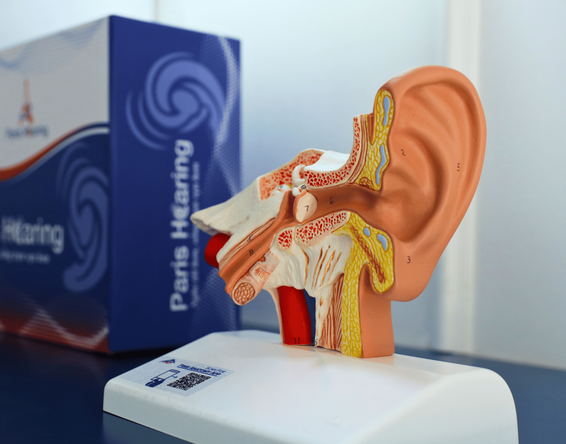 Tin tức Paris Hearing