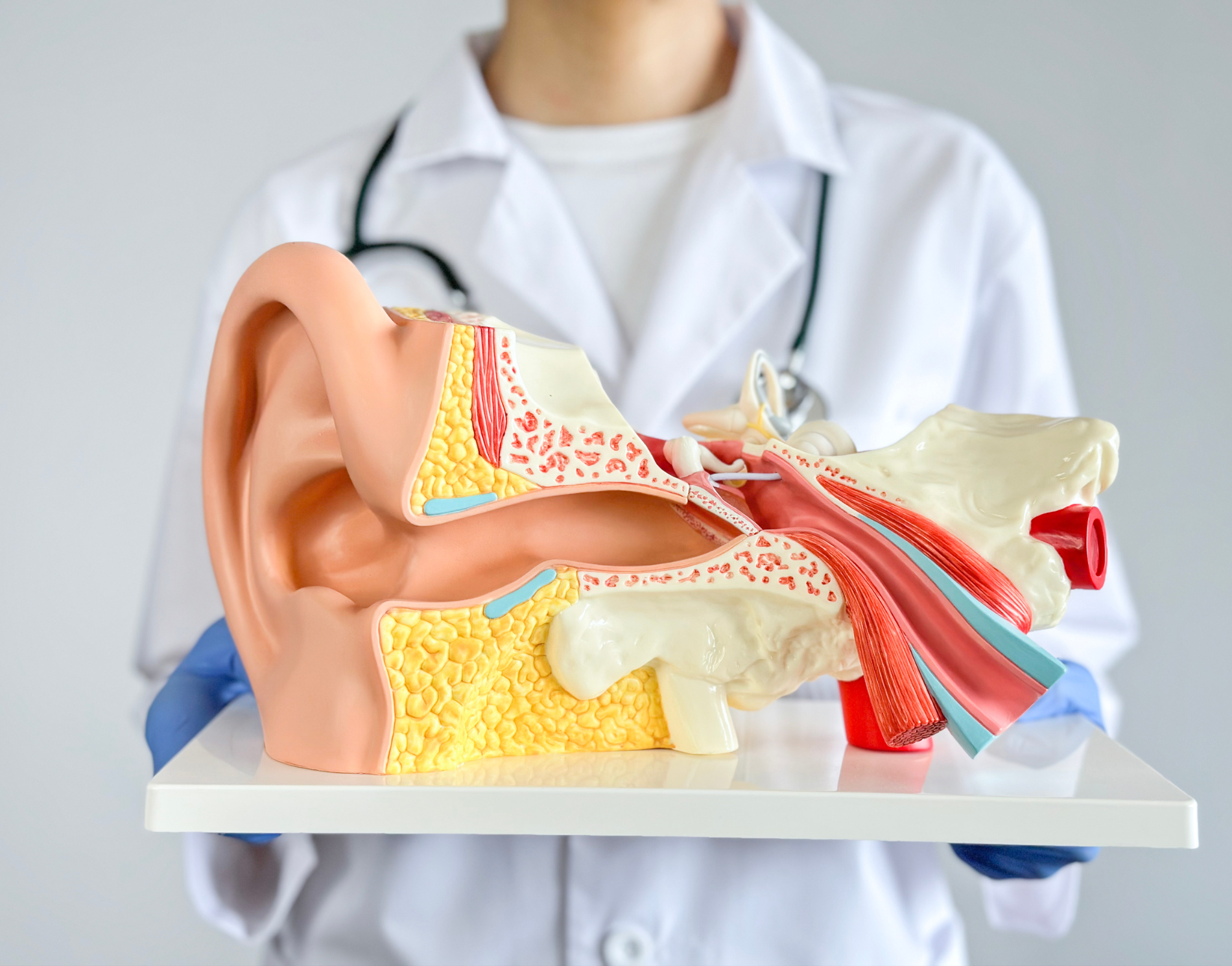 Kiến thức chuyên sâu độc quyền