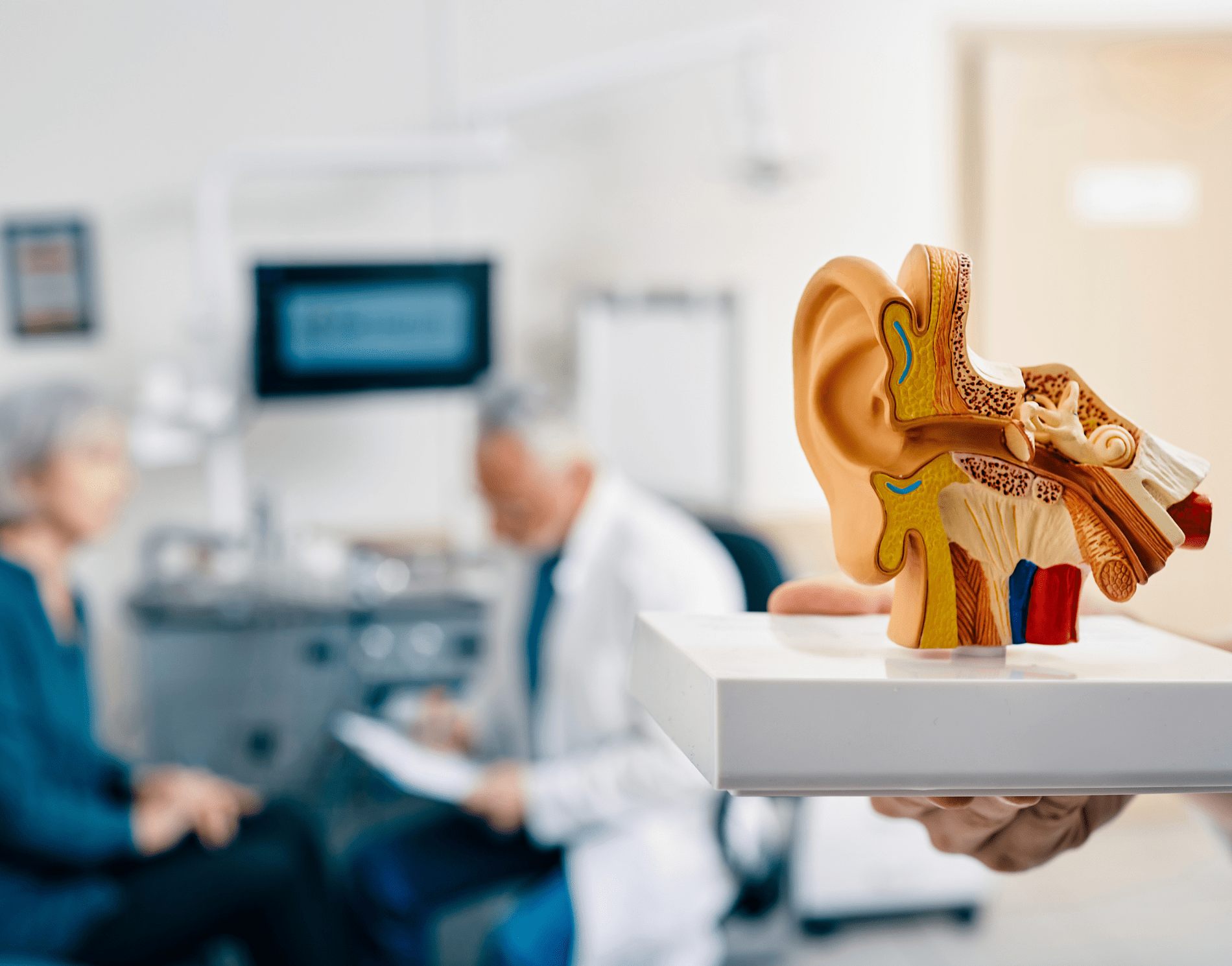 Nhận thông tin chi tiết, độc quyền